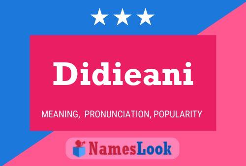 Постер имени Didieani