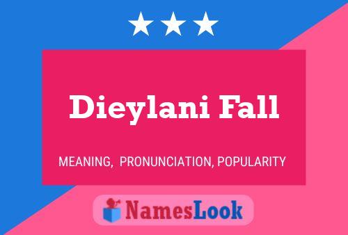 Постер имени Dieylani Fall