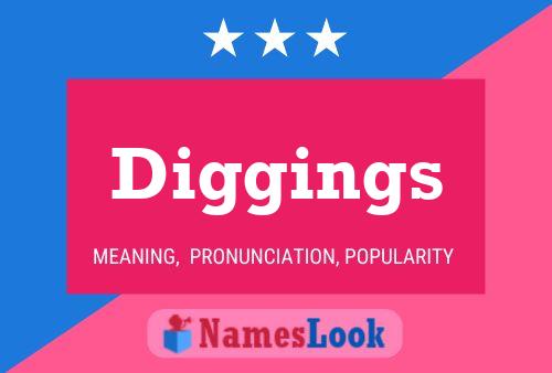 Постер имени Diggings