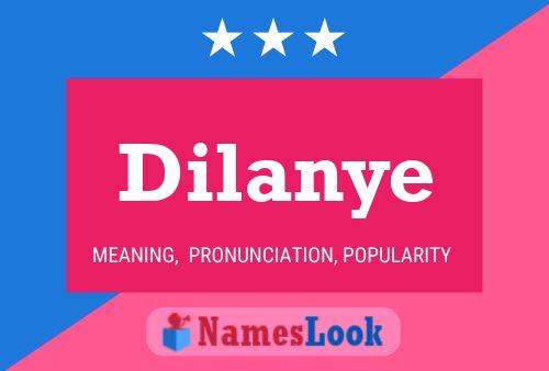 Постер имени Dilanye