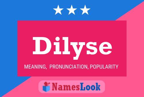 Постер имени Dilyse