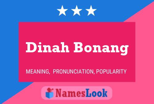 Постер имени Dinah Bonang