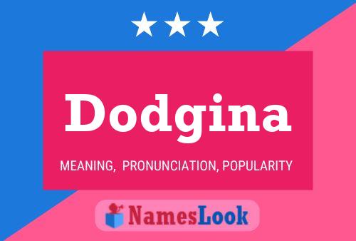 Постер имени Dodgina