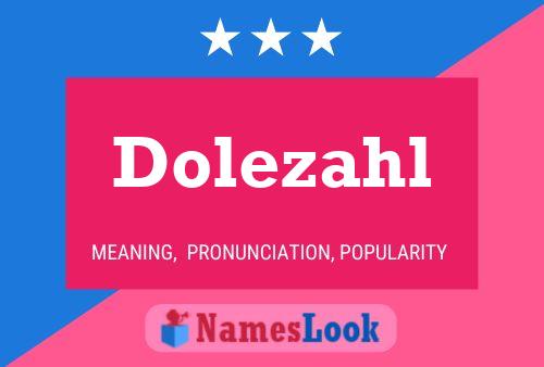 Постер имени Dolezahl