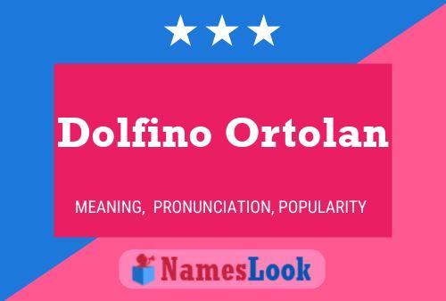 Постер имени Dolfino Ortolan