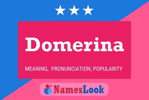 Постер имени Domerina