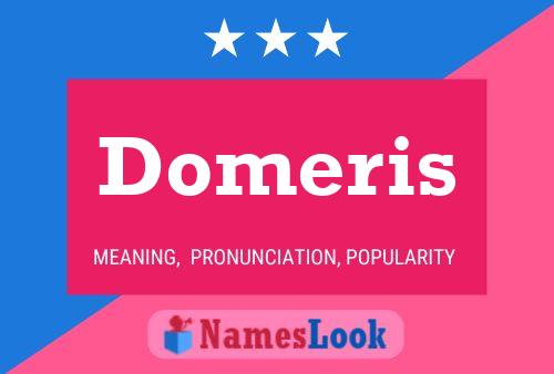 Постер имени Domeris