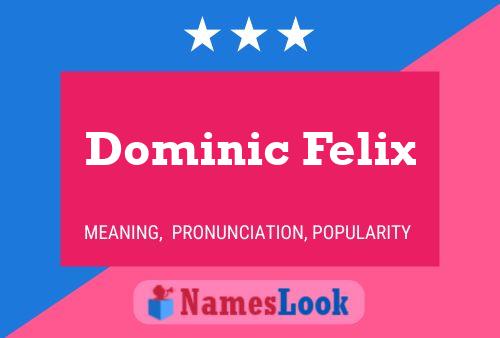 Постер имени Dominic Felix