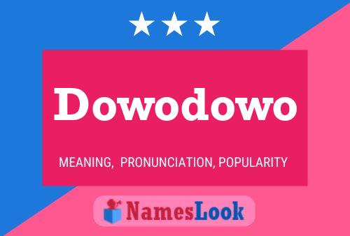 Постер имени Dowodowo