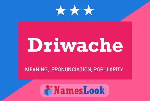 Постер имени Driwache