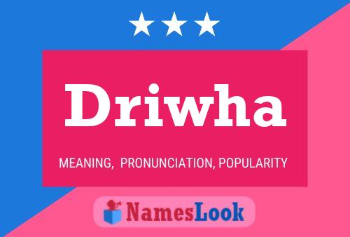 Постер имени Driwha