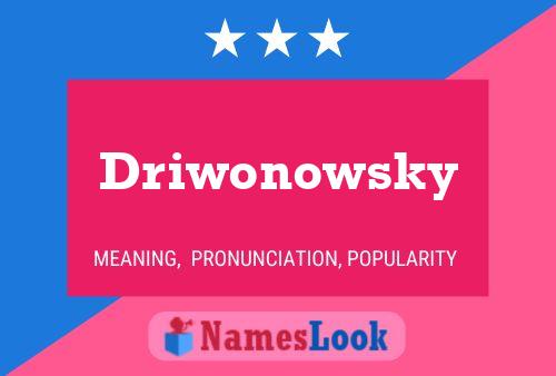 Постер имени Driwonowsky