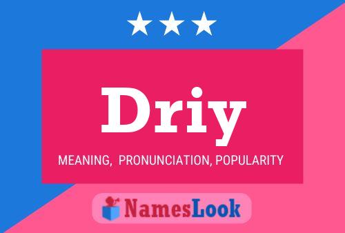 Постер имени Driy