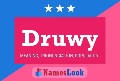 Постер имени Druwy