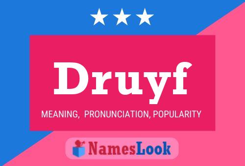 Постер имени Druyf