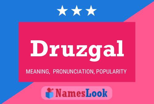 Постер имени Druzgal