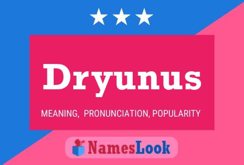 Постер имени Dryunus