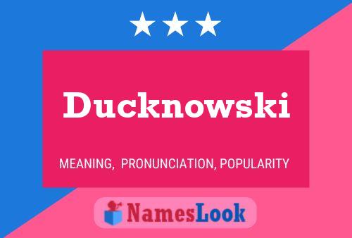 Постер имени Ducknowski