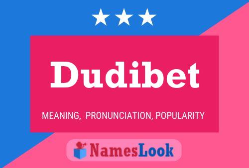 Постер имени Dudibet