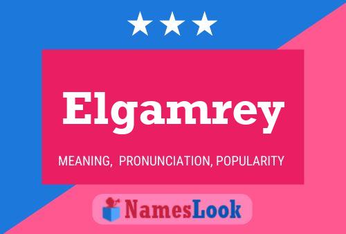 Постер имени Elgamrey