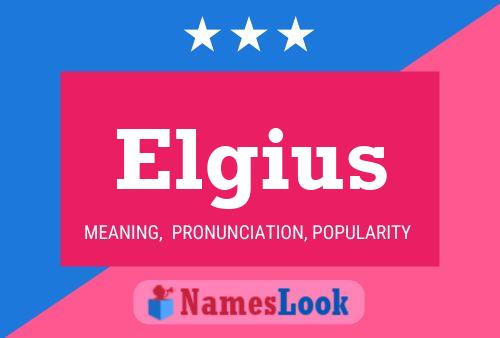 Постер имени Elgius