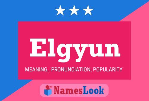 Постер имени Elgyun