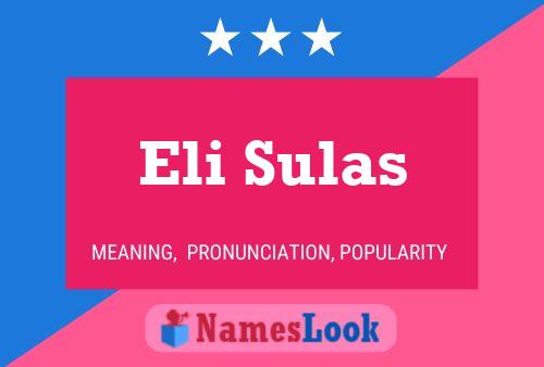 Постер имени Eli Sulas