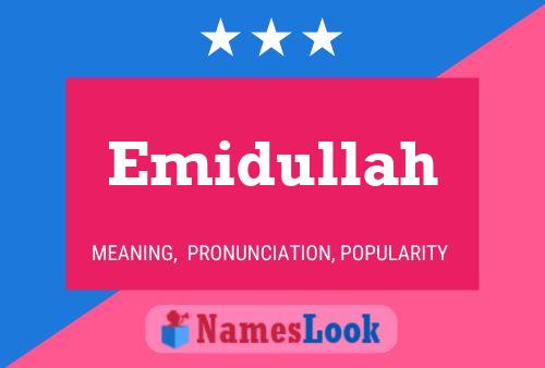 Постер имени Emidullah