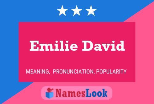 Постер имени Emilie David