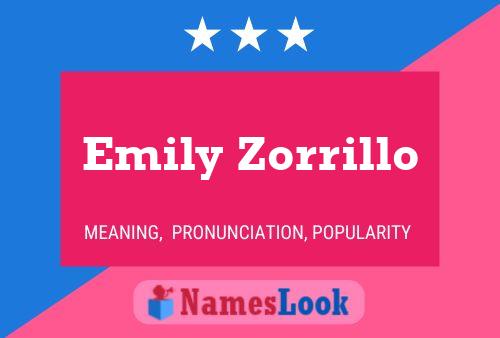 Постер имени Emily Zorrillo