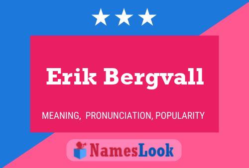 Постер имени Erik Bergvall