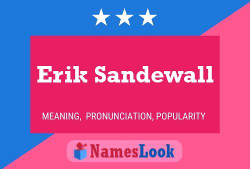 Постер имени Erik Sandewall