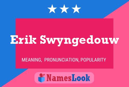 Постер имени Erik Swyngedouw