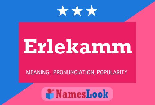 Постер имени Erlekamm