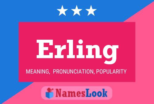 Постер имени Erling