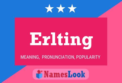 Постер имени Erlting