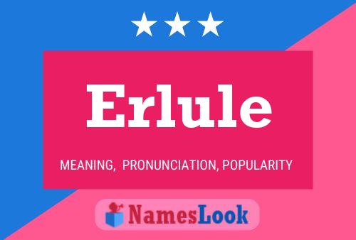 Постер имени Erlule