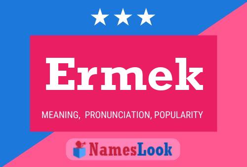 Постер имени Ermek