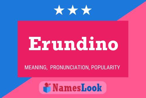 Постер имени Erundino