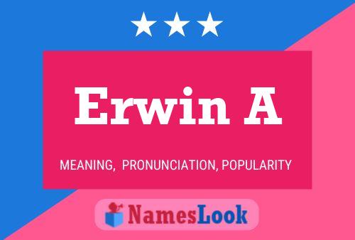 Постер имени Erwin A