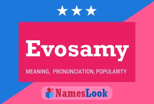 Постер имени Evosamy