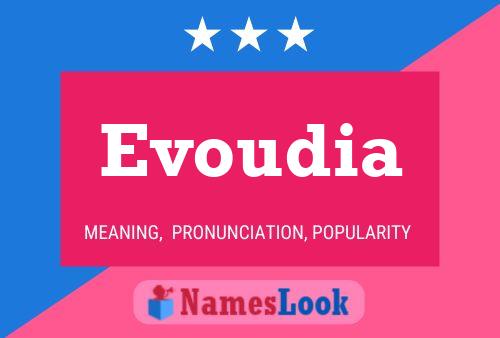 Постер имени Evoudia