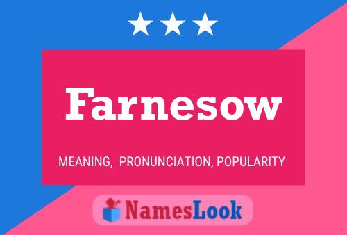 Постер имени Farnesow