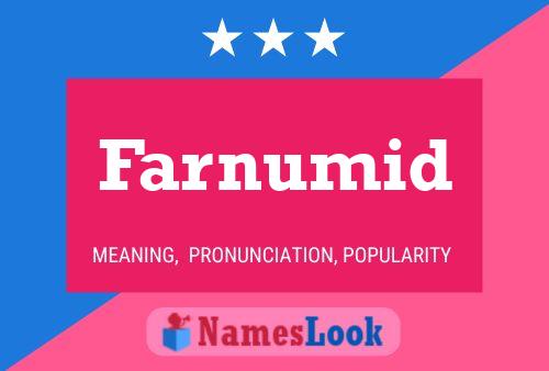 Постер имени Farnumid