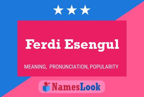 Постер имени Ferdi Esengul