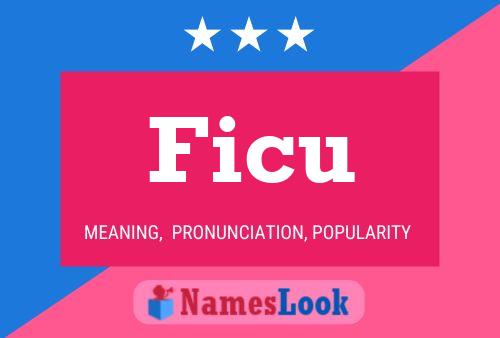 Постер имени Ficu