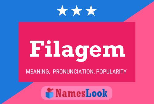 Постер имени Filagem