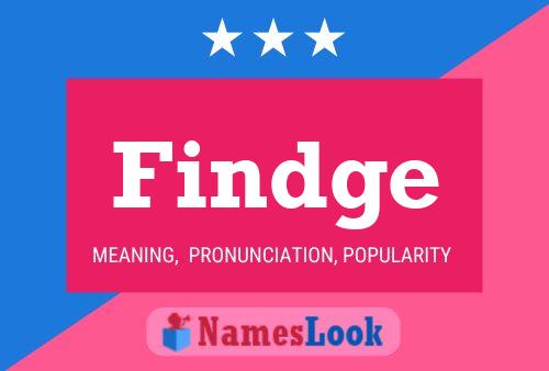 Постер имени Findge