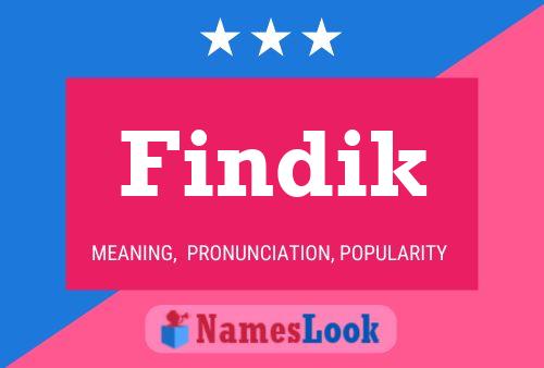 Постер имени Findik