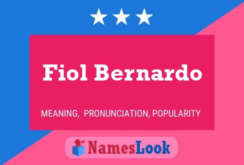 Постер имени Fiol Bernardo